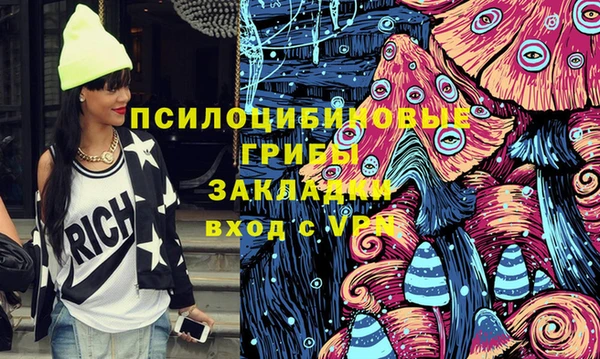 ешки Богданович