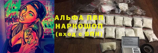 ешки Богданович