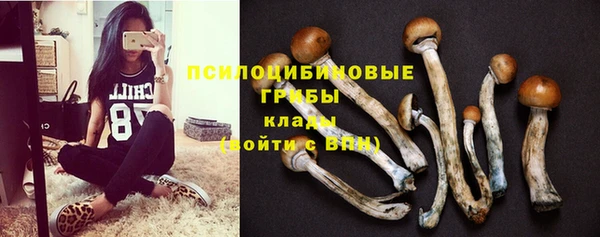 марихуана Богородицк