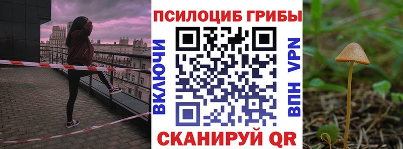 Псилоцибиновые грибы ЛСД  Можайск 